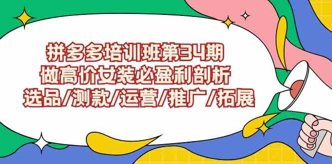 （9333期）拼多多培训班第34期：做高价女装必盈利剖析  选品/测款/运营/推广/拓展-生财有道