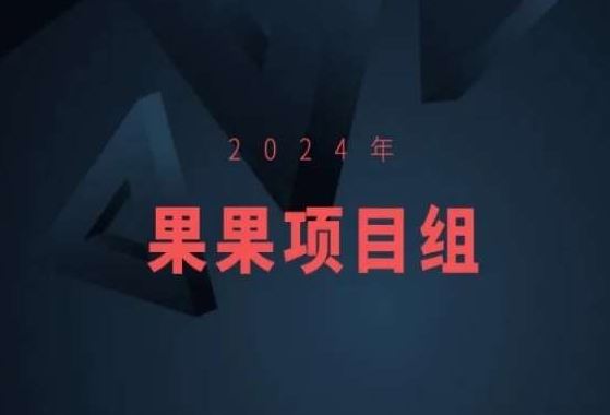 2024年果果项目组项目合集-果果最新项目-生财有道