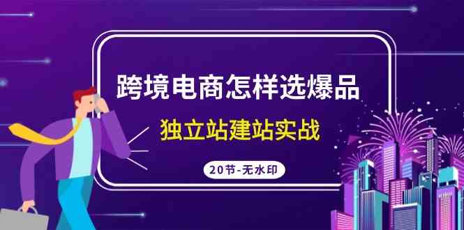 跨境电商怎样选爆品，独立站建站实战（20节高清课）-生财有道