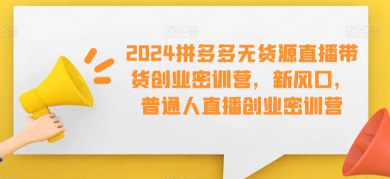 2024拼多多无货源直播带货创业密训营，新风口，普通人直播创业密训营-生财有道