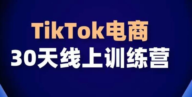 TikTok电商带货30天线上课，不可错过的全球流量洼地！-生财有道