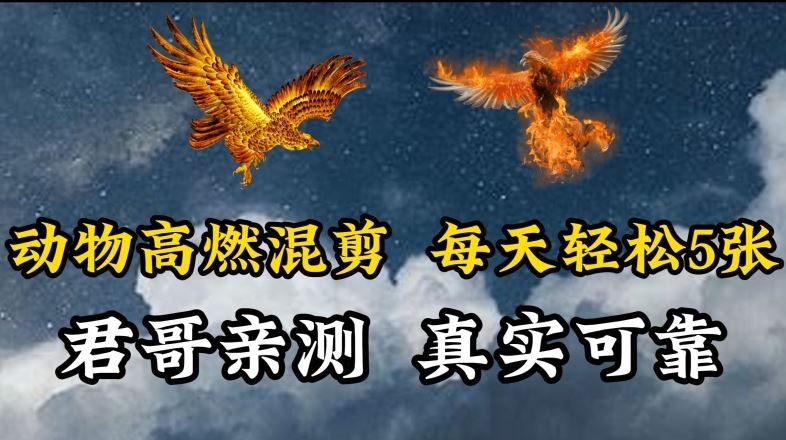 动物超燃混剪，每天轻松5张，剪辑简单大家爱看【揭秘】-生财有道