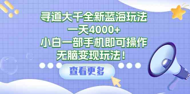 （9479期）寻道大千全新蓝海玩法，一天4000+，小白一部手机即可操作，无脑变现玩法！-生财有道