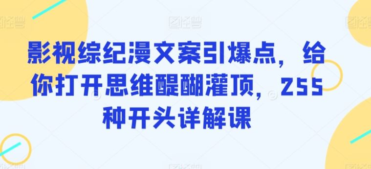 影视综纪漫文案引爆点，给你打开思维醍醐灌顶，255种开头详解课-生财有道