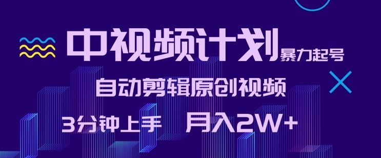 中视频计划暴力起号，自动剪辑原创视频，3分钟上手，月入2W+【揭秘】-生财有道