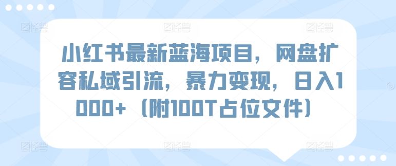 小红书最新蓝海项目，网盘扩容私域引流，暴力变现，日入1000+（附100T占位文件）【揭秘】-生财有道