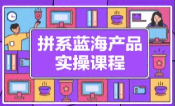 拼系冷门蓝海产品实操课程，从注册店铺到选品上架到流量维护环环相扣-生财有道