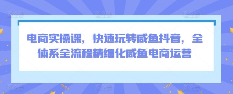 电商实操课，快速玩转咸鱼抖音，全体系全流程精细化咸鱼电商运营-生财有道