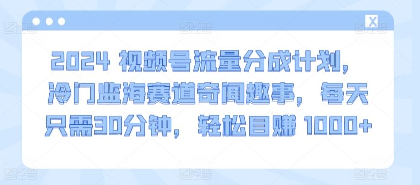 2024视频号流量分成计划，冷门监海赛道奇闻趣事，每天只需30分钟，轻松目赚 1000+【揭秘】-生财有道