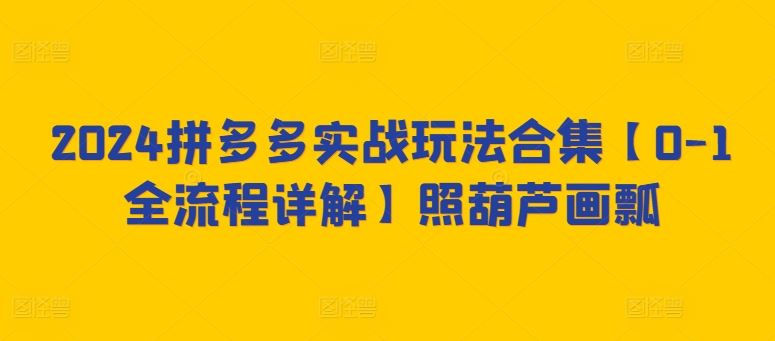 2024拼多多实战玩法合集【0-1全流程详解】照葫芦画瓢-生财有道