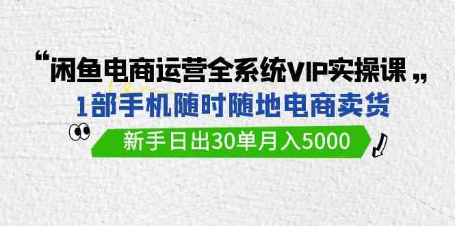 闲鱼电商运营全系统VIP实战课，1部手机随时随地卖货，新手日出30单月入5000-生财有道