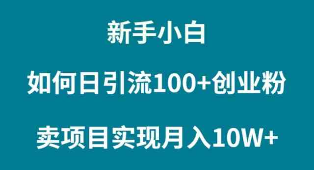 （9556期）新手小白如何通过卖项目实现月入10W+-生财有道