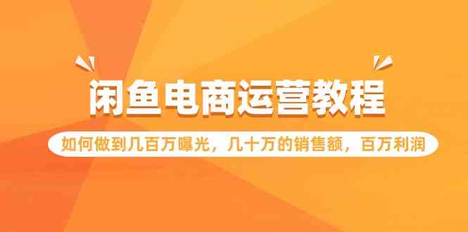 （9560期）闲鱼电商运营教程：如何做到几百万曝光，几十万的销售额，百万利润-生财有道