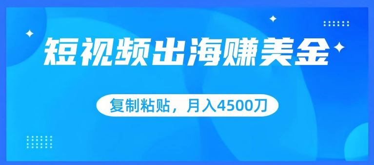 短视频出海赚美金，复制粘贴批量操作，小白轻松掌握，月入4500美刀【揭秘】-生财有道