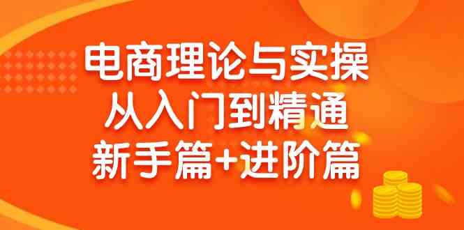 （9576期）电商理论与实操从入门到精通 新手篇+进阶篇-生财有道