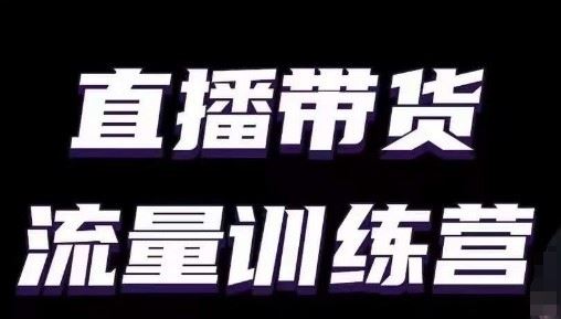 直播带货流量训练营，小白主播必学直播课-生财有道