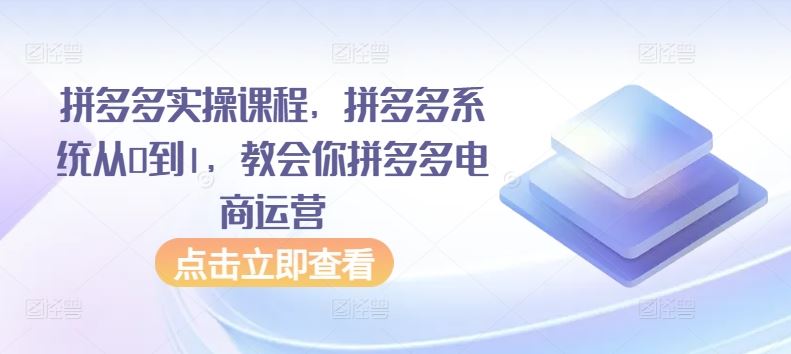 拼多多实操课程，拼多多系统从0到1，教会你拼多多电商运营-生财有道