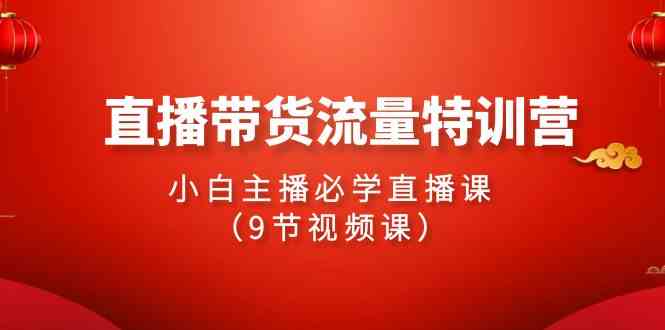 （9592期）2024直播带货流量特训营，小白主播必学直播课（9节视频课）-生财有道