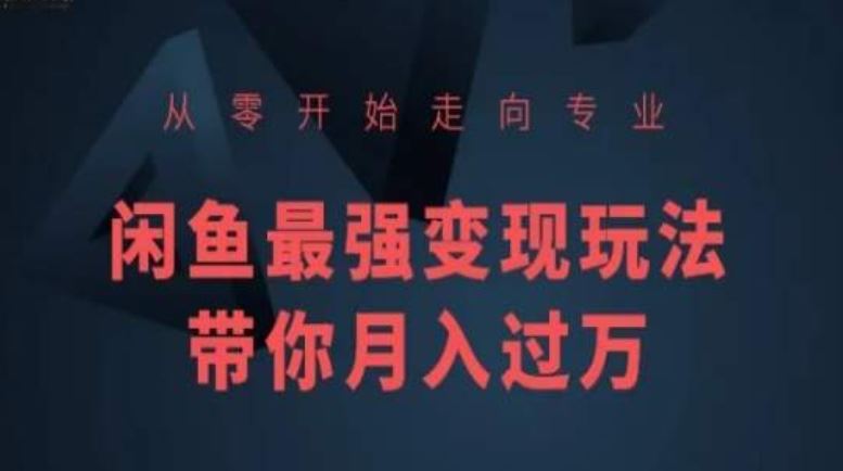 从零开始走向专业，闲鱼最强变现玩法带你月入过万-生财有道