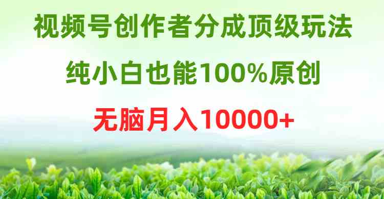 （9608期）视频号创作者分成顶级玩法，纯小白也能100%原创，无脑月入10000+-生财有道