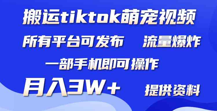 （9618期）搬运Tiktok萌宠类视频，一部手机即可。所有短视频平台均可操作，月入3W+-生财有道