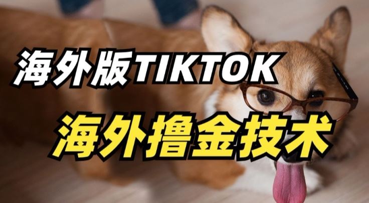 抖音海外版tiktok撸金技术，这个风口行业，赚钱真的不难【揭秘】-生财有道