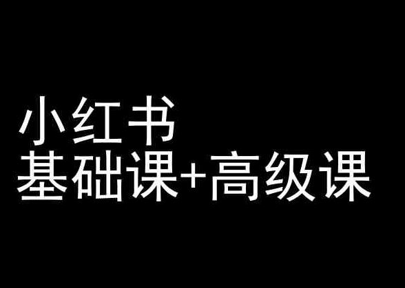 小红书基础课+高级课-小红书运营教程-生财有道