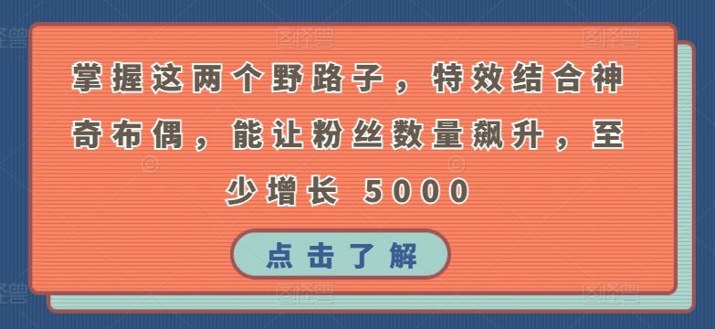 掌握这两个野路子，特效结合神奇布偶，能让粉丝数量飙升，至少增长 5000【揭秘】-生财有道