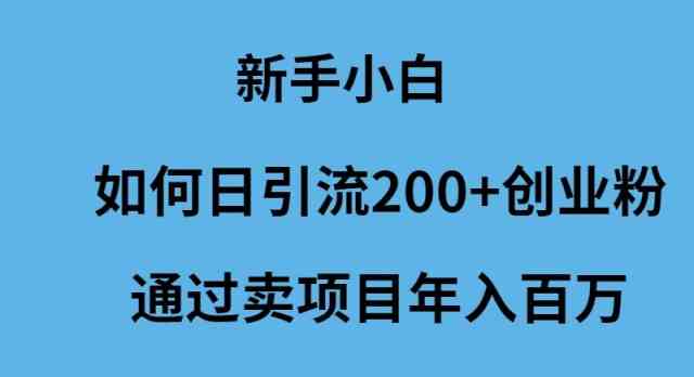 （9668期）新手小白如何日引流200+创业粉通过卖项目年入百万-生财有道