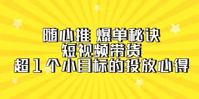 （9687期）随心推 爆单秘诀，短视频带货-超1个小目标的投放心得（7节视频课）-生财有道