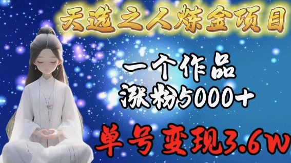 天选之人炼金项目，一个作品涨粉5000+，单号变现3.6w【揭秘】-生财有道