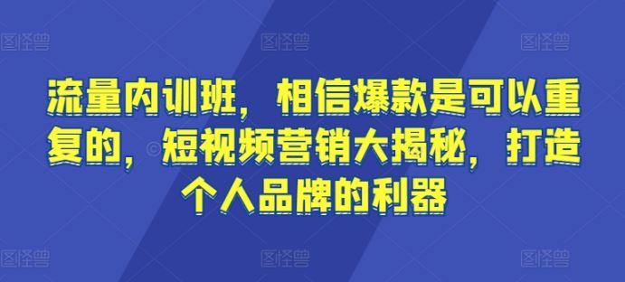 流量内训班，相信爆款是可以重复的，短视频营销大揭秘，打造个人品牌的利器-生财有道