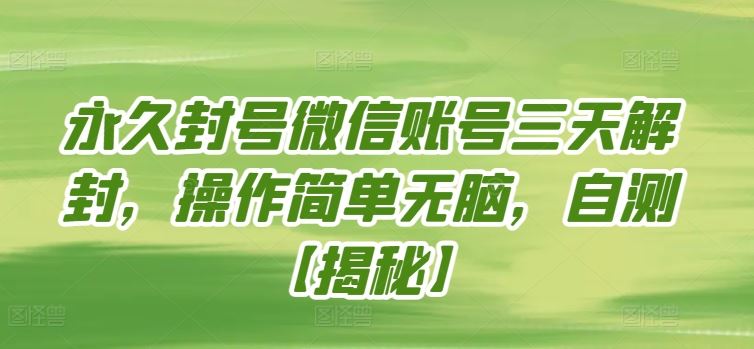永久封号微信账号三天解封，操作简单无脑，自测【揭秘】-生财有道