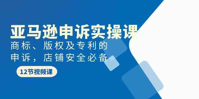 亚马逊申诉实战课，商标、版权及专利的申诉，店铺安全必备-生财有道