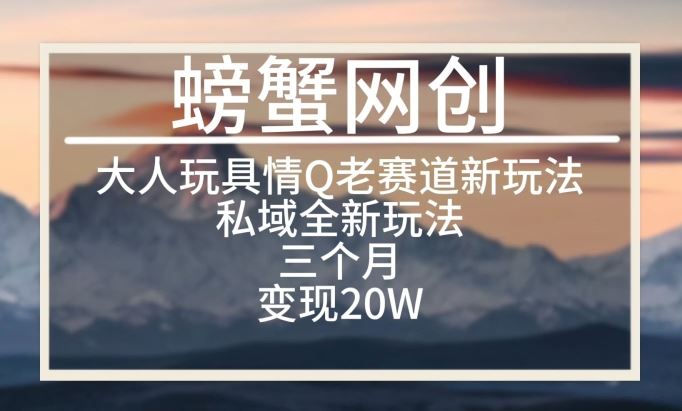 大人玩具情Q用品赛道私域全新玩法，三个月变现20W，老项目新思路【揭秘】-生财有道