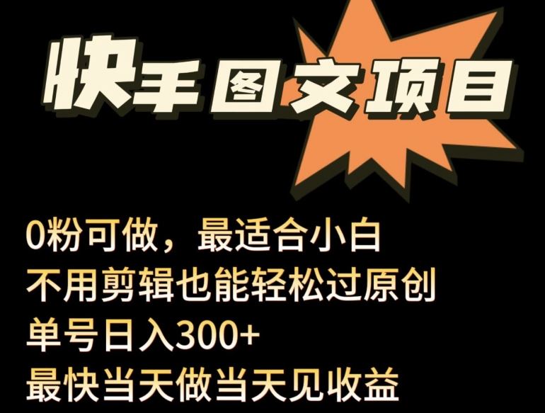 24年最新快手图文带货项目，零粉可做，不用剪辑轻松过原创单号轻松日入300+【揭秘】-生财有道