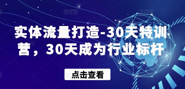 实体流量打造-30天特训营，30天成为行业标杆-生财有道