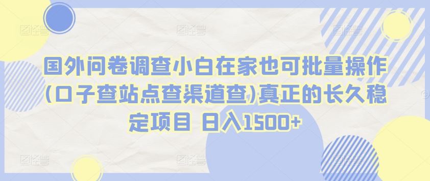 国外问卷调查小白在家也可批量操作(口子查站点查渠道查)真正的长久稳定项目 日入1500+【揭秘】-生财有道