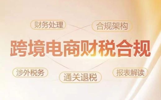 跨境老板财税合规特训营，规避财税风险、提升企业利润-生财有道