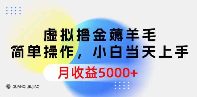 （9864期）虚拟撸金薅羊毛，简单操作，小白当天上手，月收益5000+-生财有道