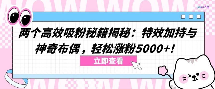两个高效吸粉秘籍揭秘：特效加持与神奇布偶，轻松涨粉5000+【揭秘】-生财有道