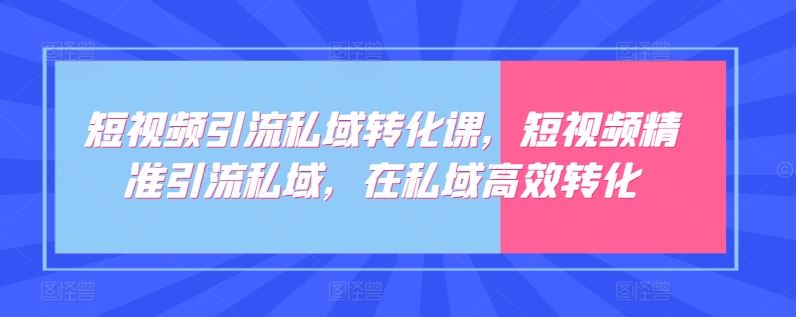 短视频引流私域转化课，短视频精准引流私域，在私域高效转化-生财有道