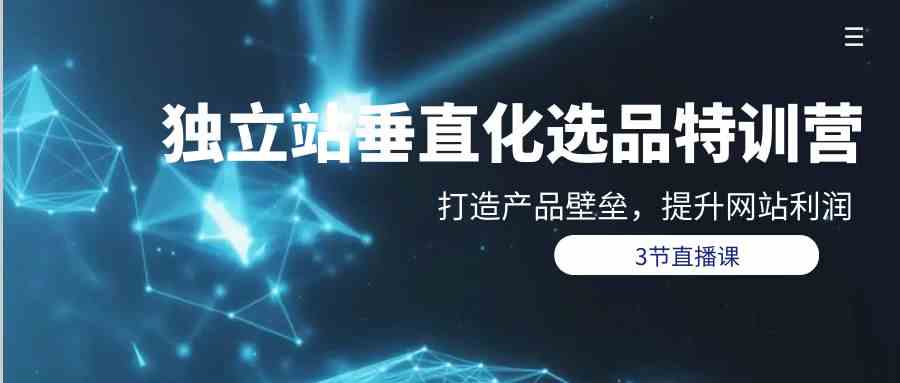 （9925期）独立站-垂直化选品训练营，打造产品壁垒，提升网站利润（3节直播课）-生财有道