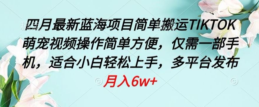四月最新蓝海项目，简单搬运TIKTOK萌宠视频，操作简单方便，仅需一部手机【揭秘】-生财有道