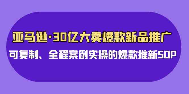 亚马逊30亿大卖爆款新品推广，可复制、全程案例实操的爆款推新SOP-生财有道