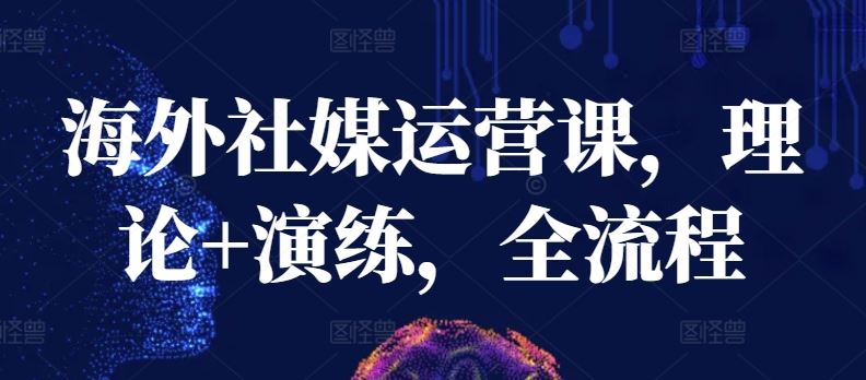 海外社媒运营课，理论+演练，全流程-生财有道