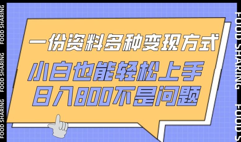 一份资料多种变现方式，小白也能轻松上手，日入800不是问题【揭秘】-生财有道