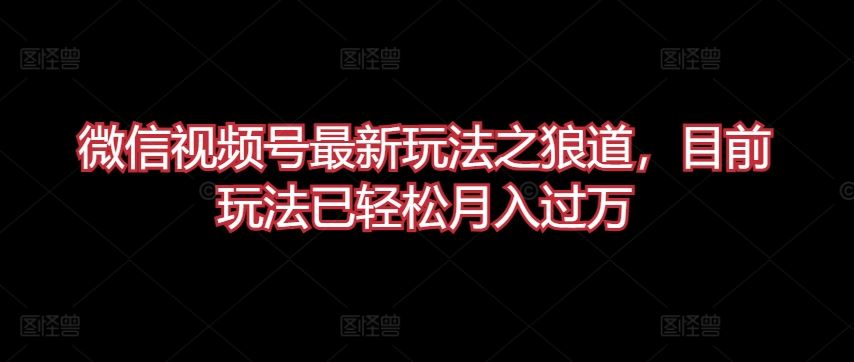 微信视频号最新玩法之狼道，目前玩法已轻松月入过万【揭秘】-生财有道