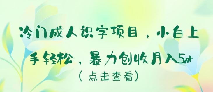 冷门成人识字项目，小白上手轻松，暴力创收月入5w+【揭秘】-生财有道