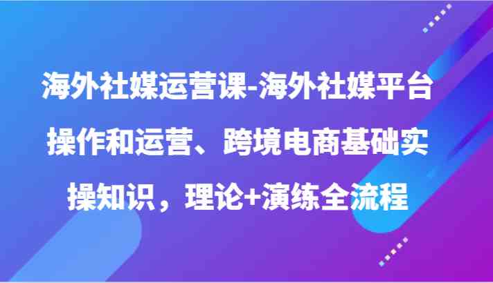 海外社媒运营课-海外社媒平台操作和运营、跨境电商基础实操知识，理论+演练全流程-生财有道